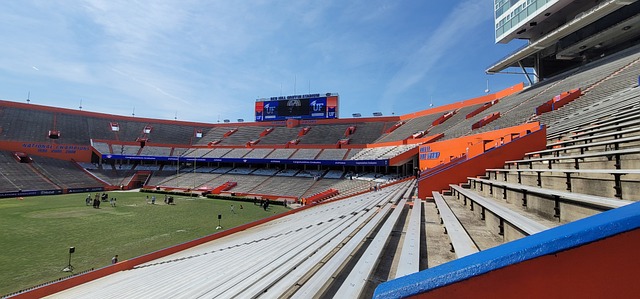 和适应能力 和适应能力