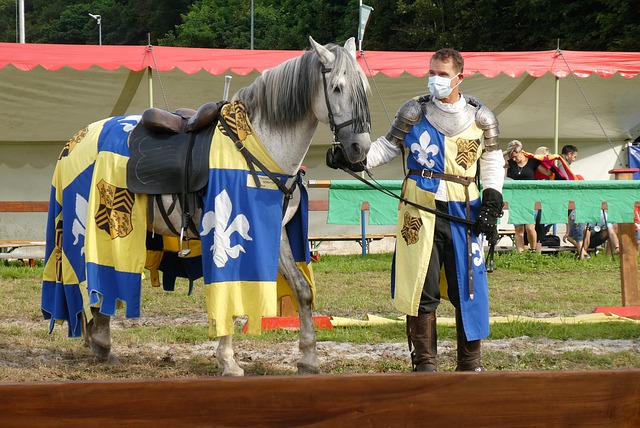 度占据主导 度占据主导