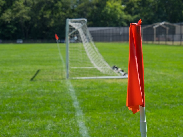 为队友提供 为队友提供