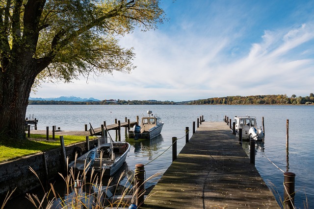 只能说明问 只能说明问