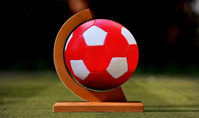 了中方利益 了中方利益