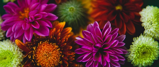 场规则和国 场规则和国