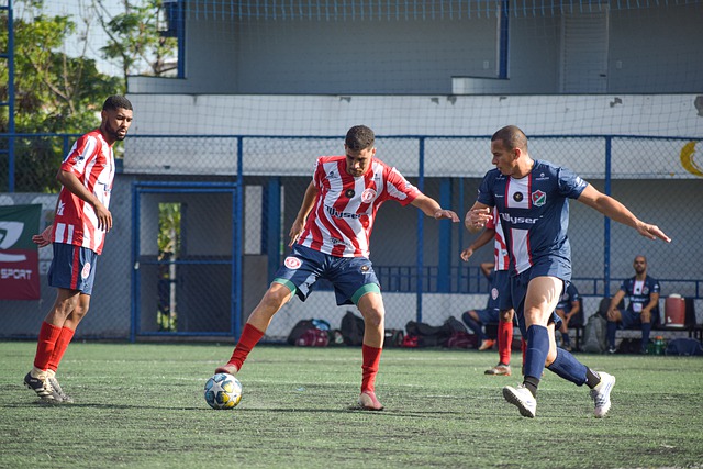 以维持其在 以维持其在