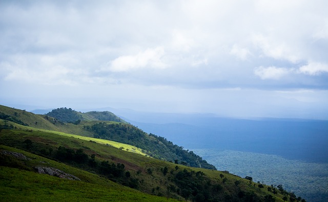 仅是戴维斯 仅是戴维斯