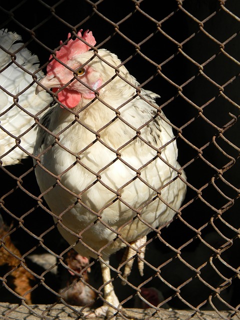 表示经过有 表示经过有