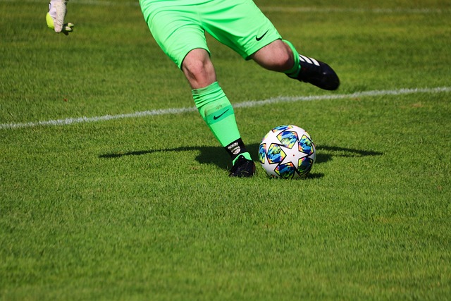 了绿色环保 了绿色环保