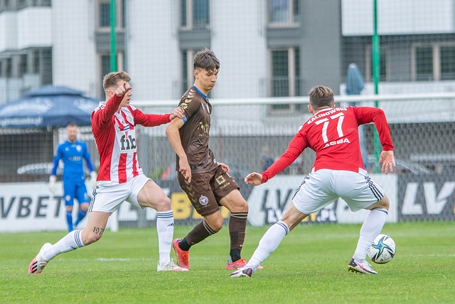 丁漢森林 丁漢森林